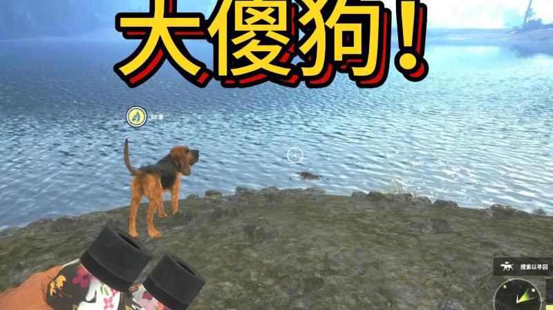 荒野的召唤怎么养狗狗