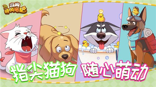 狗狗呼叫喵星图片1