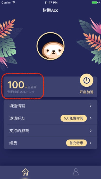 树懒acc加速器使用1