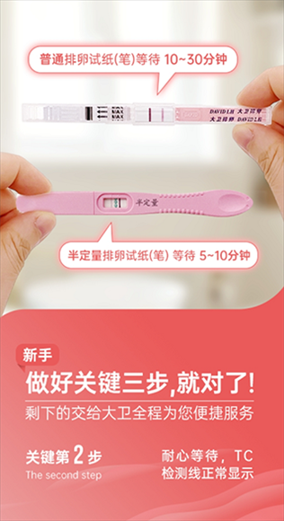 大卫优孕5