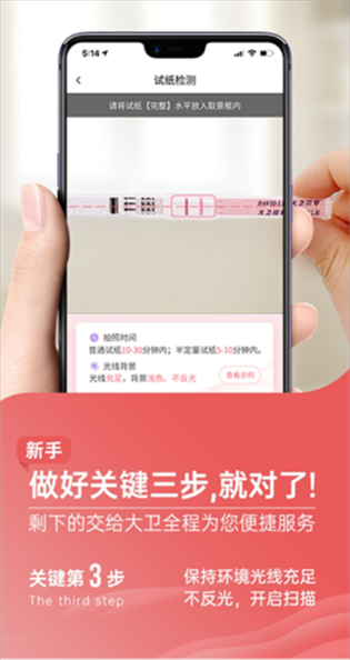 大卫优孕6